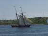 p7236205_small.jpg