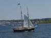 p7236208_small.jpg