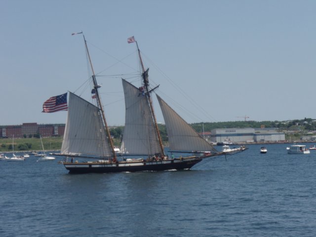 p7236210.jpg