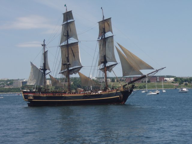 p7236214.jpg