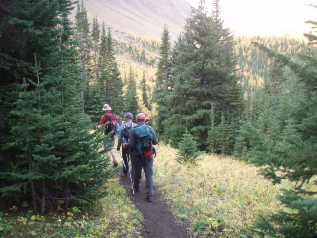 p9254277.jpg