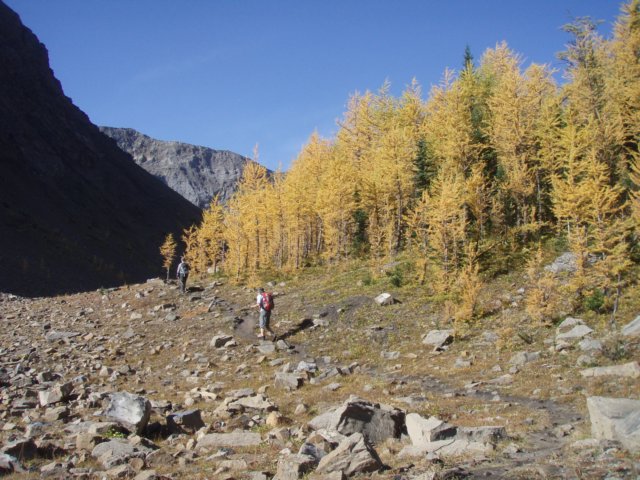 p9254283.jpg