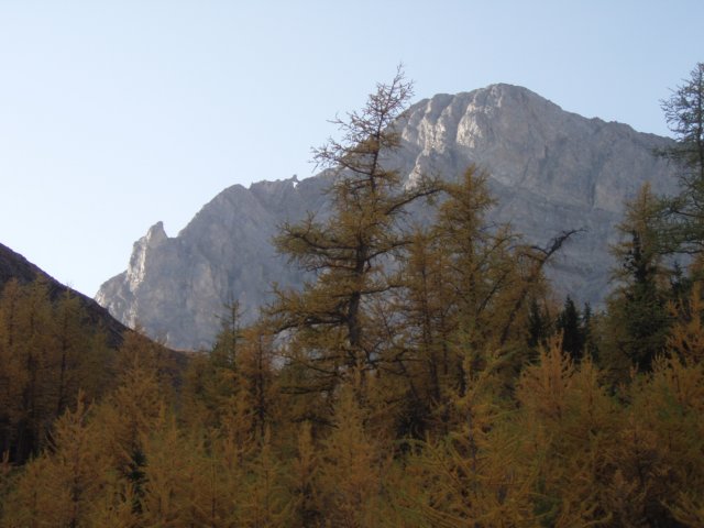 p9254287.jpg