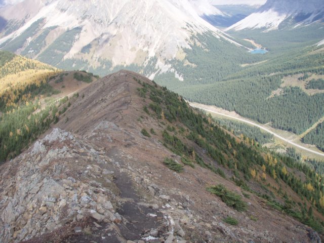 p9254304.jpg