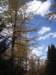 p9254307_small.jpg