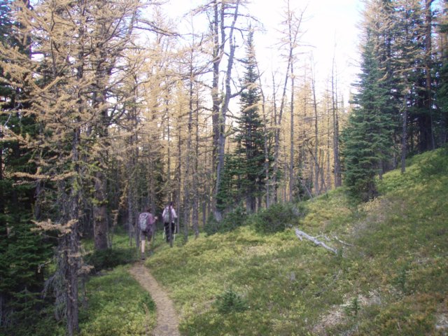 p9254308.jpg