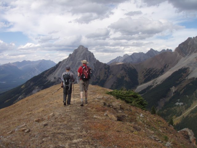 p9254310.jpg