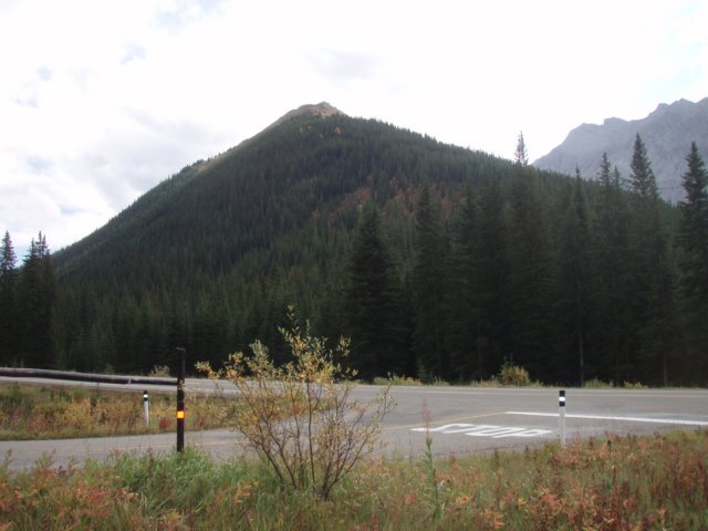 p9254313.jpg