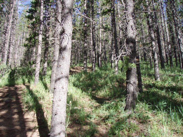 p7220469.jpg