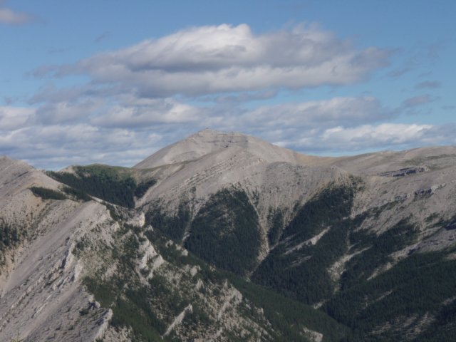 p7220483.jpg