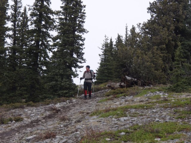 p4272479.jpg