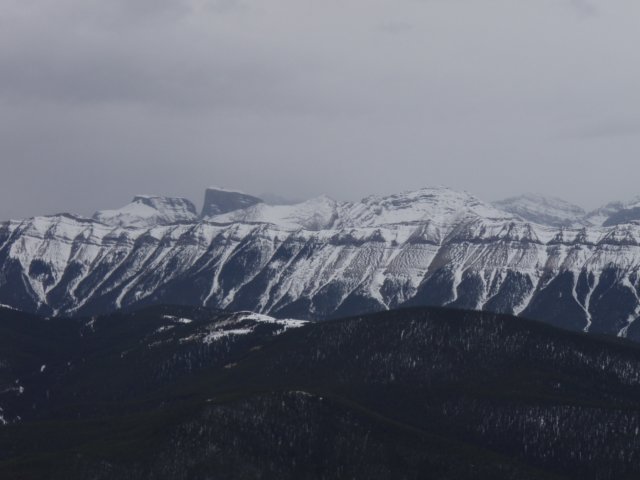 p4272492.jpg