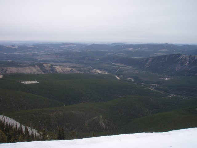p4272494.jpg