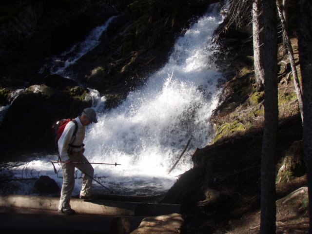 p7267688.jpg