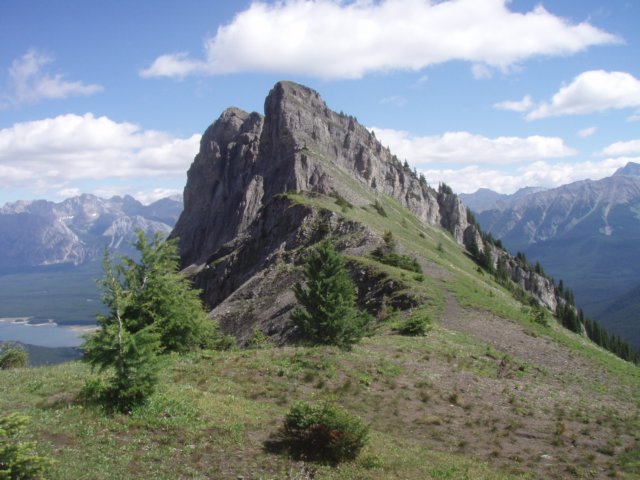 p7267696.jpg