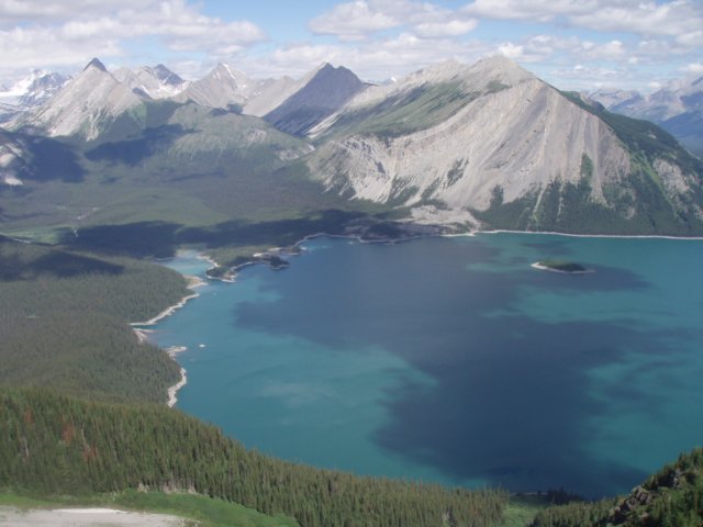 p7267698.jpg