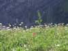 p7267703_small.jpg
