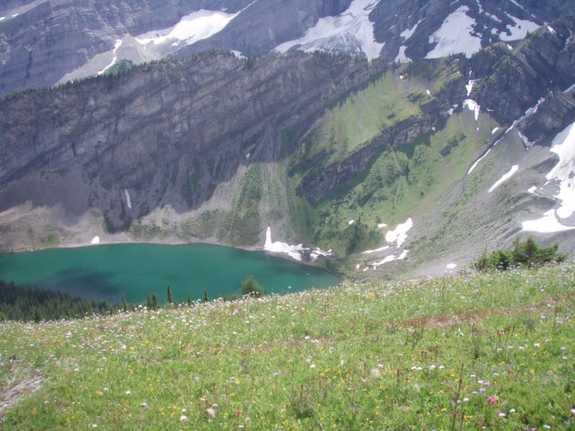 p7267704.jpg