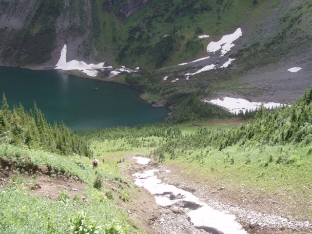 p7267715.jpg