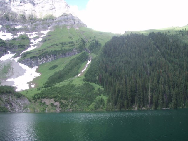 p7267719.jpg