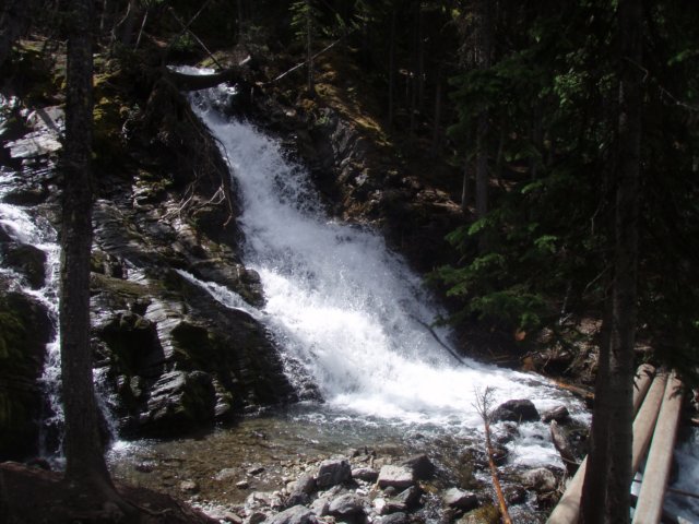 p7267723.jpg