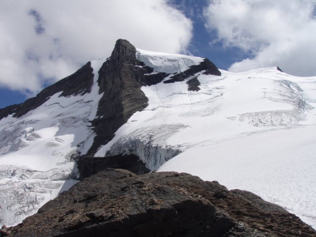 p7281194.jpg