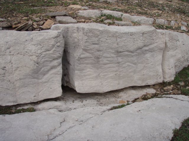 p7281237.jpg