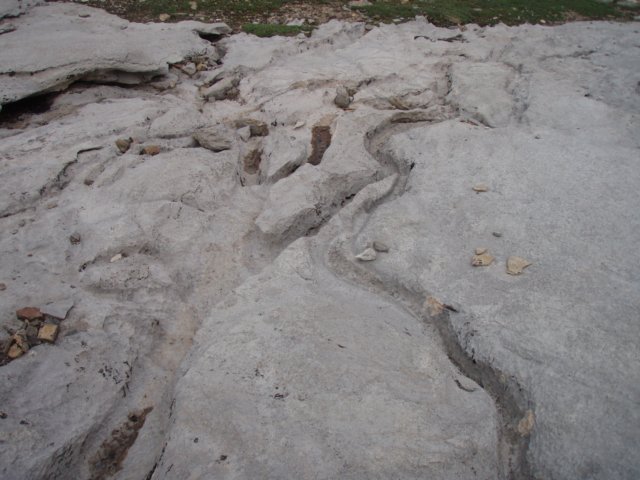 p7281238.jpg