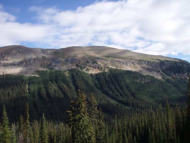 p8178124.jpg