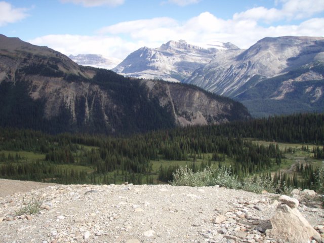 p8178134.jpg