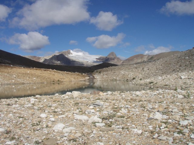 p8178142.jpg