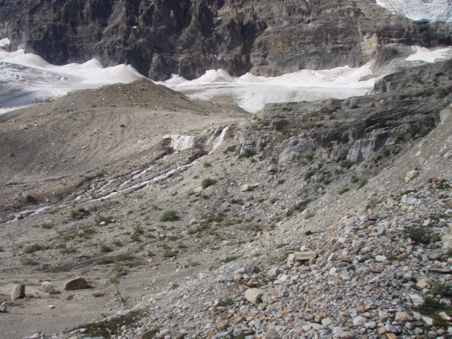 p8178143.jpg