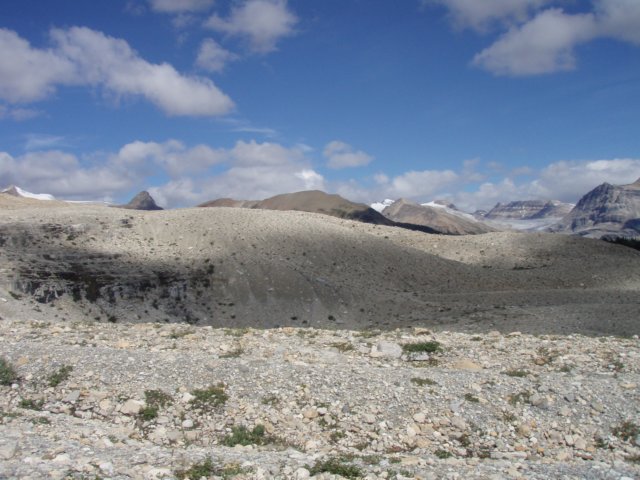 p8178145.jpg