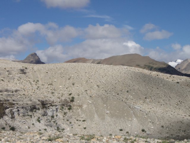 p8178146.jpg