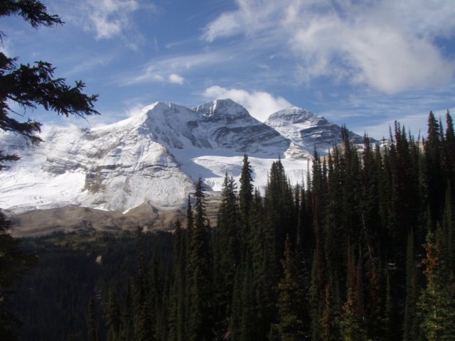 p9137846.jpg