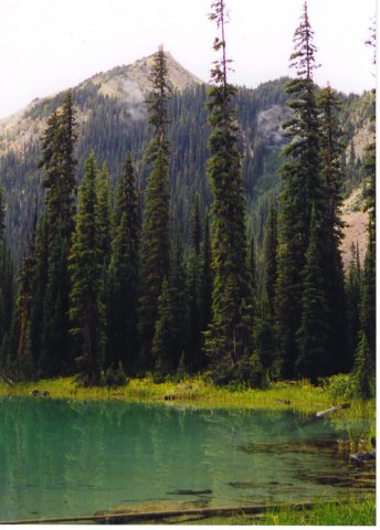 stanleymitchellhut1997026.jpg