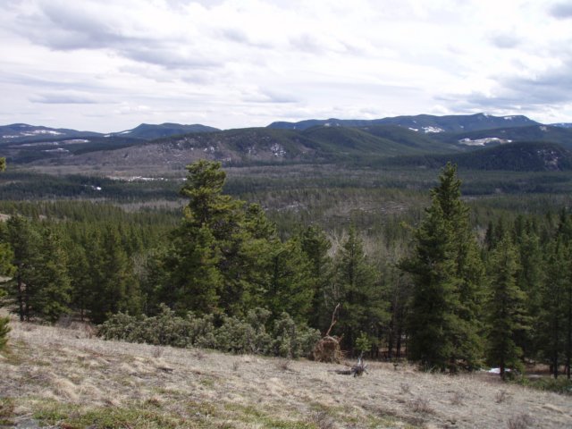 sulphurspring0704033.jpg