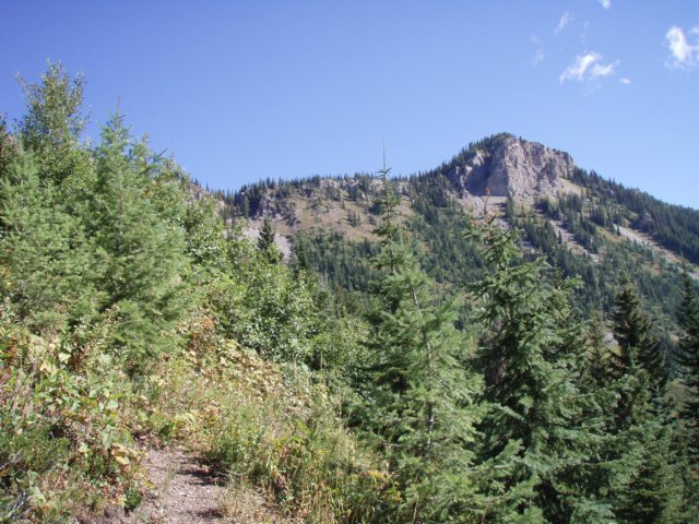 p8280602.jpg
