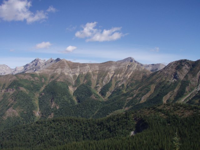 p8280615.jpg