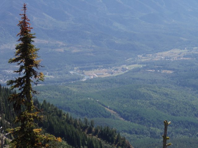 p8280623.jpg
