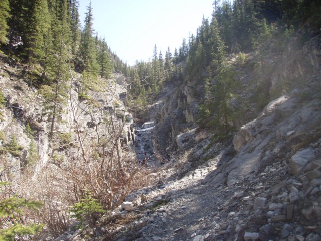 p6021626.jpg