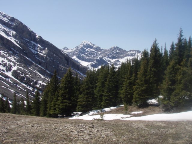 p6021636.jpg