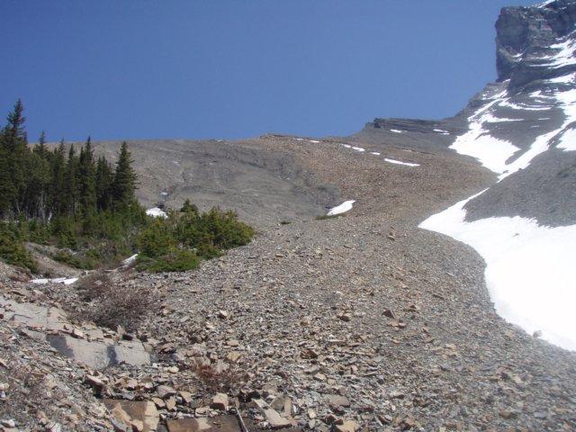 p6021648.jpg