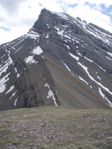p6292653.jpg