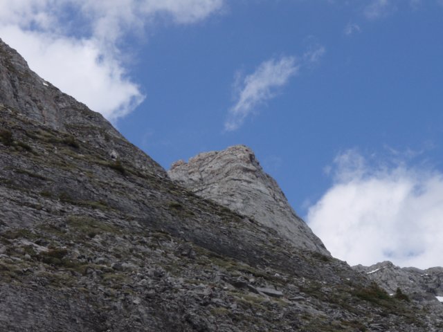 p6292654.jpg