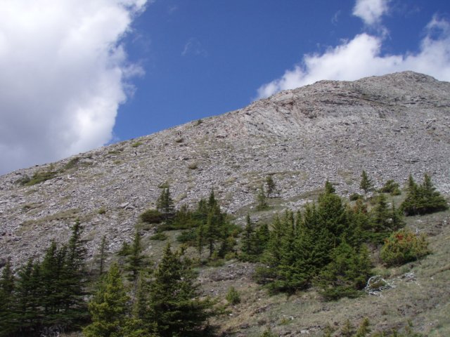 p6292657.jpg