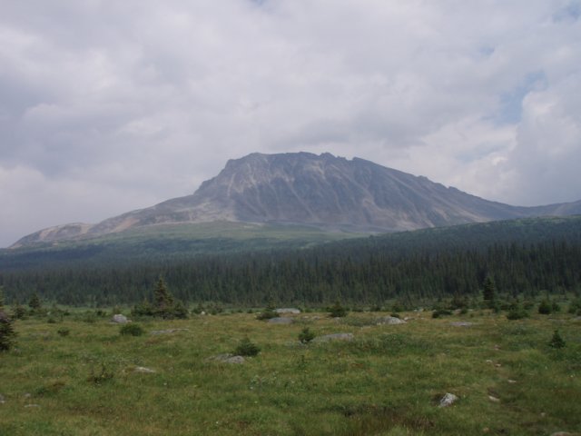 p8092188.jpg