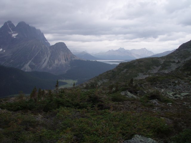 p8102203.jpg