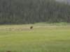 p8102211_small.jpg
