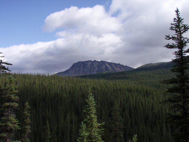 p8112227.jpg